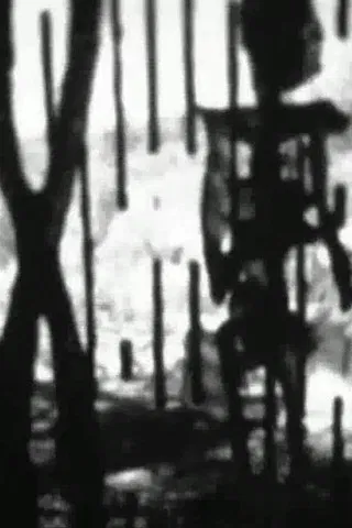 Feature Presentation poster