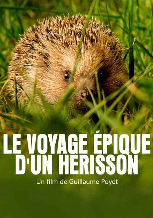 Le voyage épique d'un hérisson poster