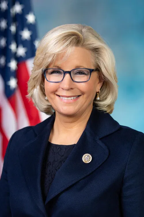 Liz Cheney profile