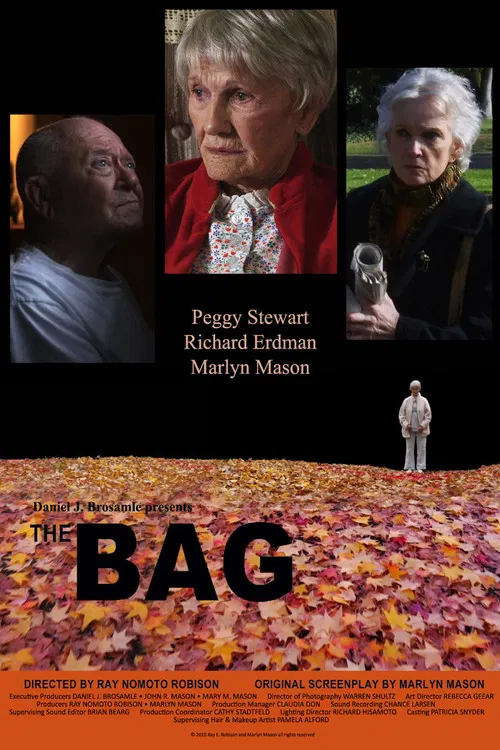 The Bag poster