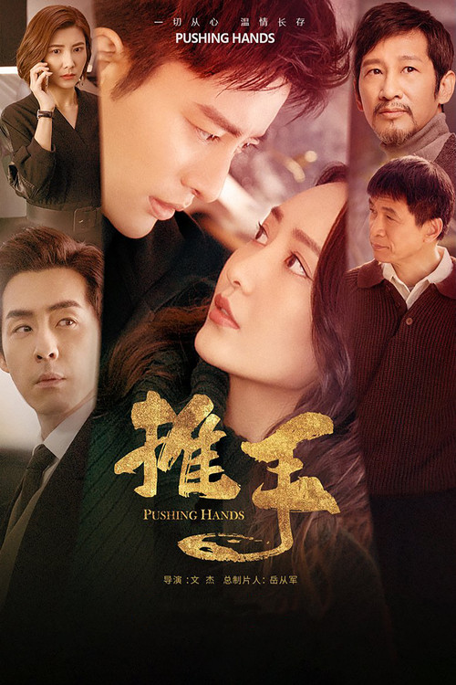 Pushing Hands poster