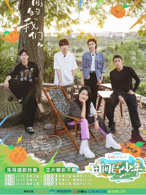 田间的少年 poster