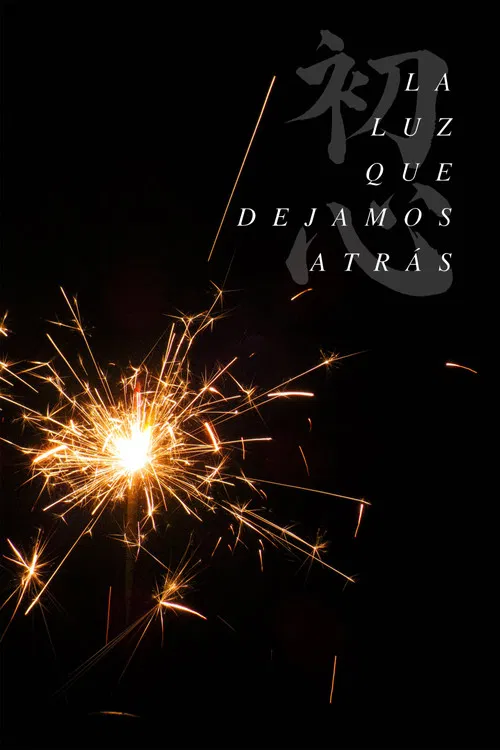 La Luz que Dejamos Atrás poster