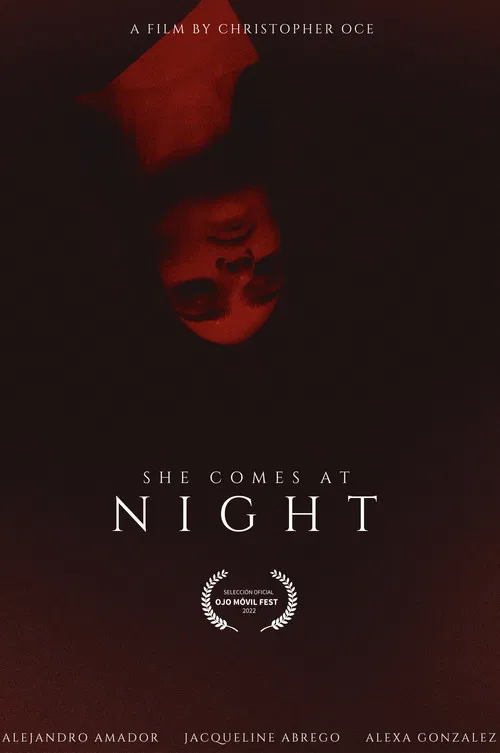 SHE COMES AT NIGHT poster