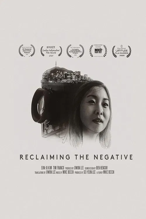 Reclaiming The Negative poster