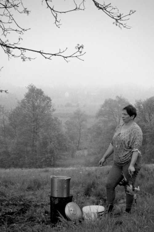 Na pustym polu poster