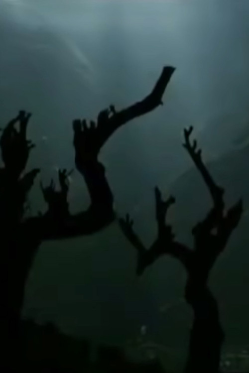 The Nu Family poster