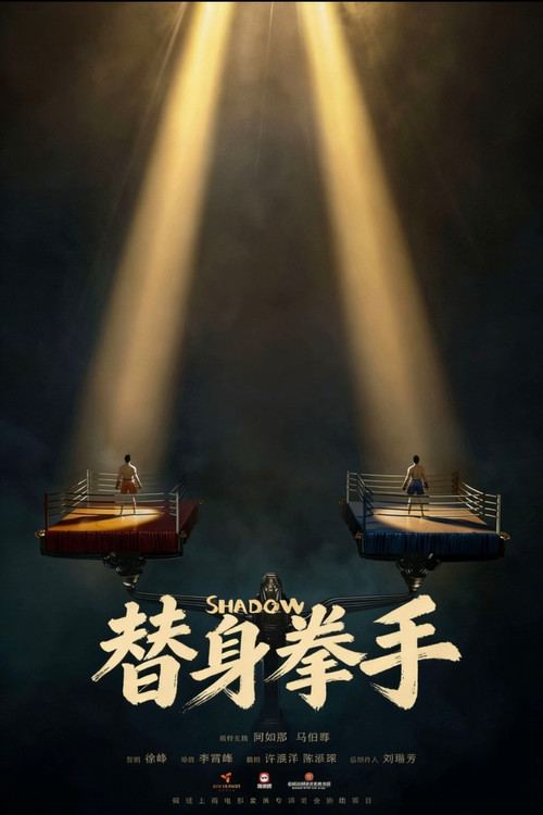 替身拳手 poster