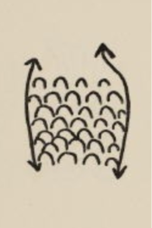 Projet Pour Un Poisson poster