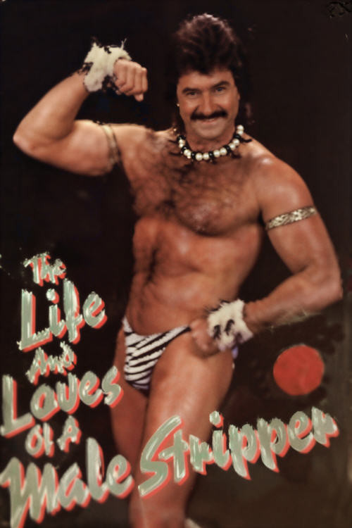 The Life and Loves of a Male Stripper poster