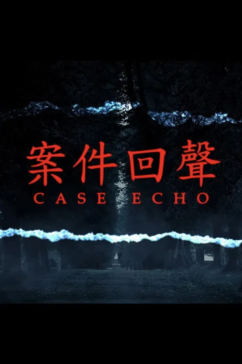 案件回聲 poster