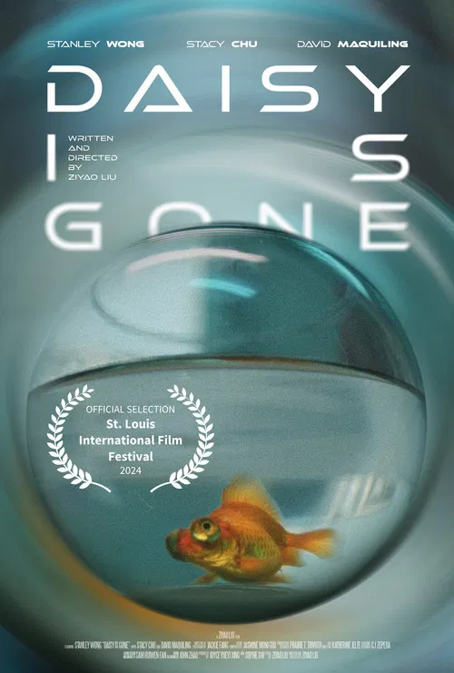 Daisy is Gone poster
