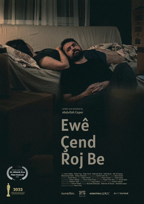 How Many Days Will It Last poster