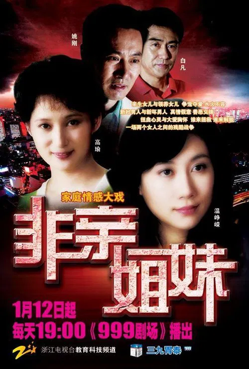 非亲姐妹 poster