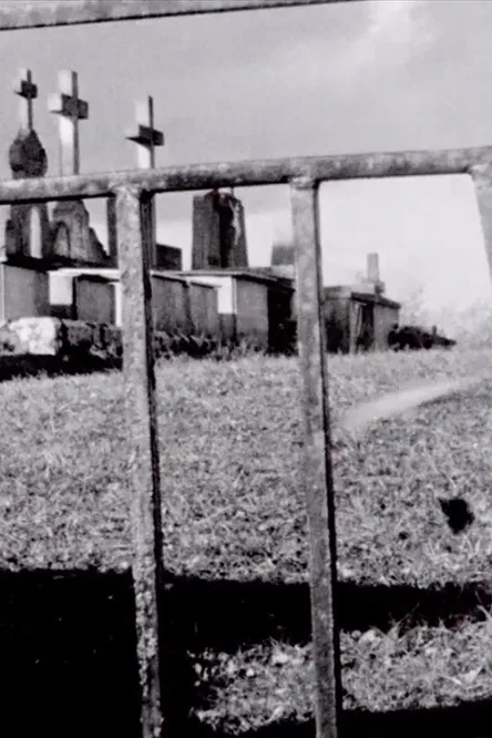 Passport Is Sound poster