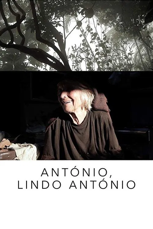 António, Dashing António poster