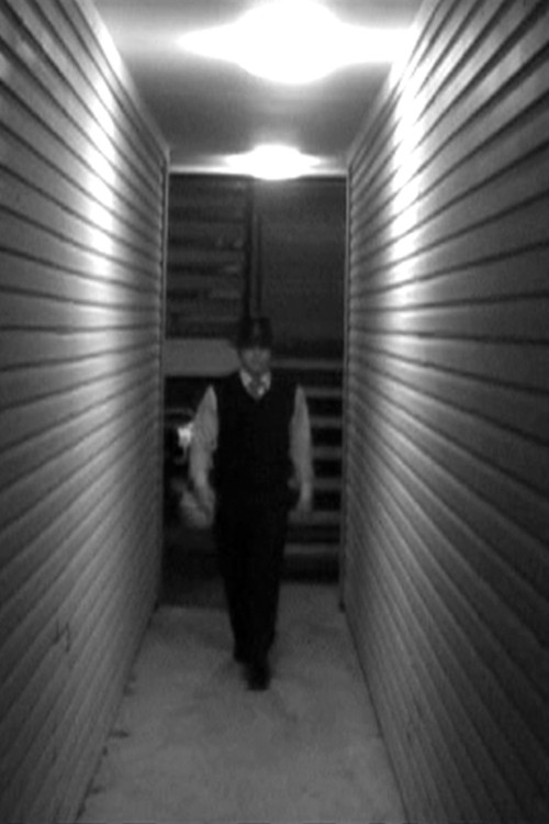 A Walking Shadow poster