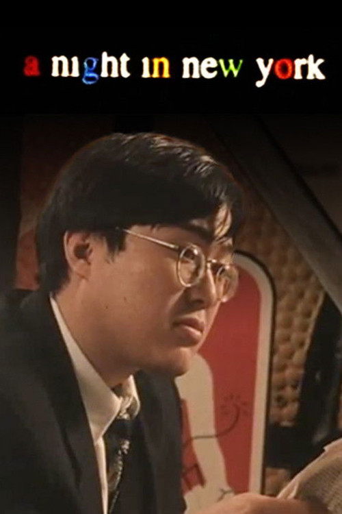 A Night in New York poster