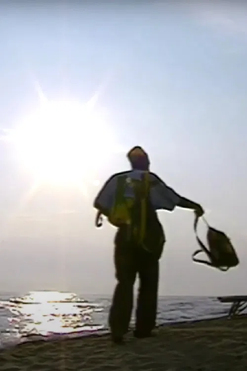 Il Divino, lo strillone e altri poster