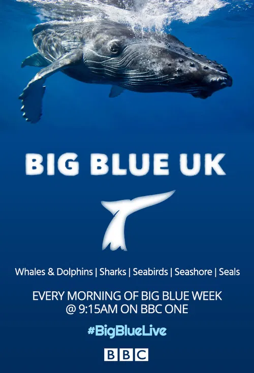 Big Blue UK poster