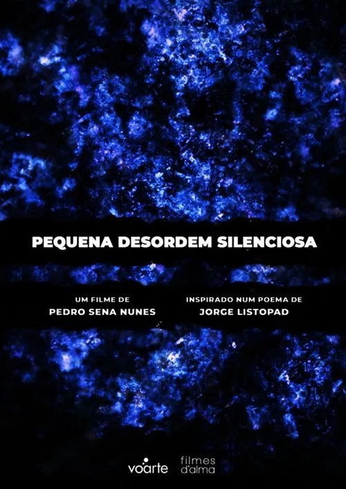 Pequena Desordem Silenciosa poster