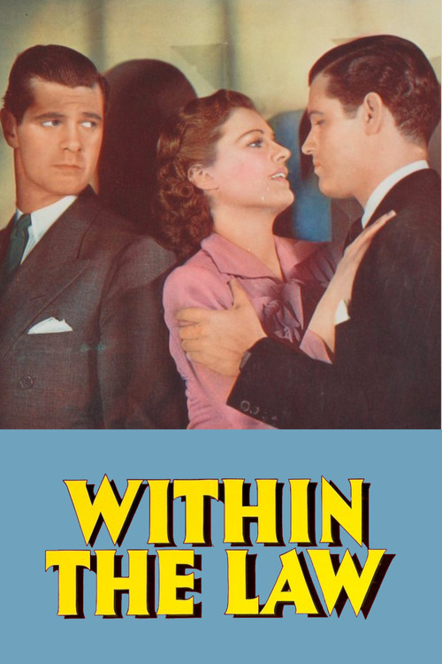 Within the Law poster