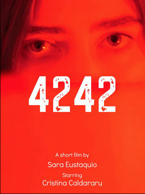 4242 poster