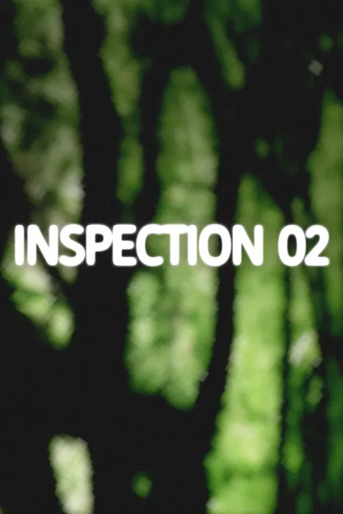 Inspection 02 poster