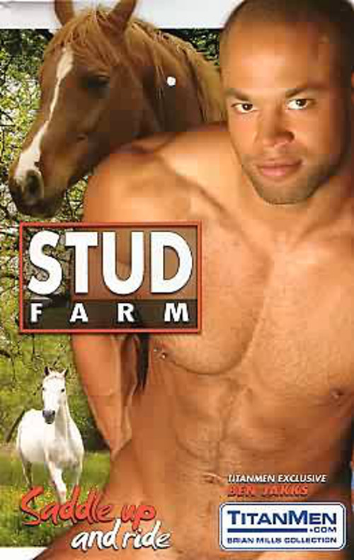 Stud Farm poster