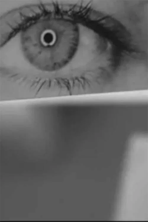 Retrato nº 2. Cuaderno de ensayos poster