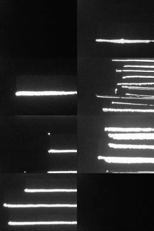 Photosynthesis part 1 poster