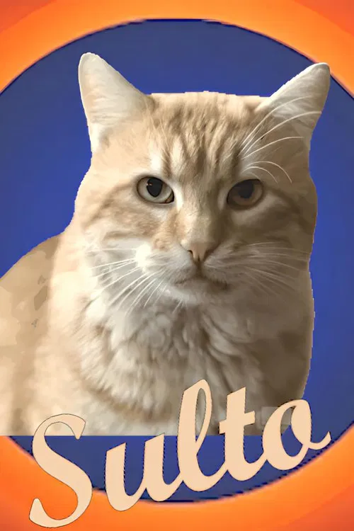Sulto poster