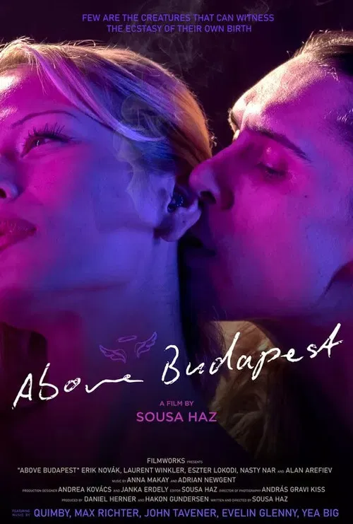Above Budapest poster