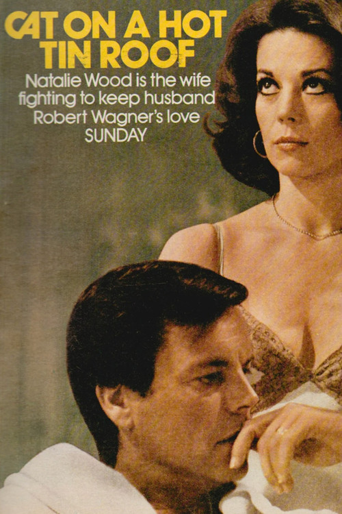 Cat on a Hot Tin Roof poster