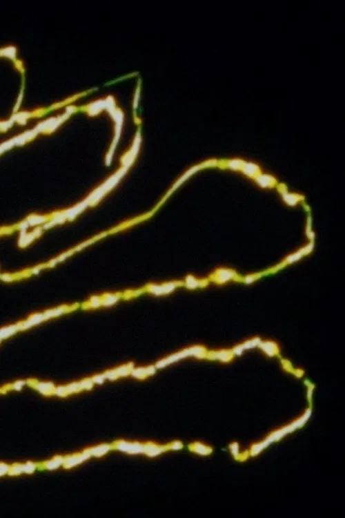 Las Manos misteriosas poster