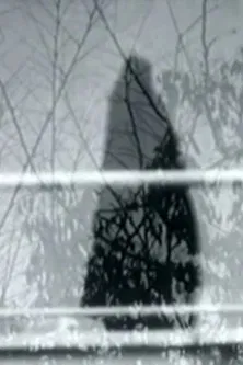 Never Happened poster