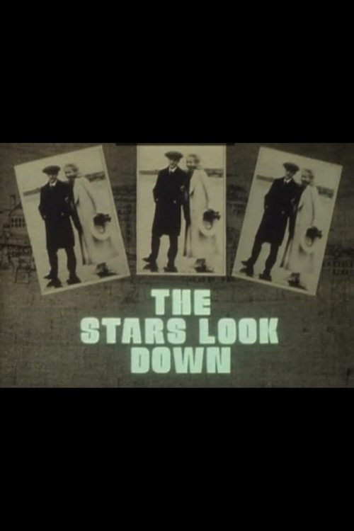 The Stars Look Down poster
