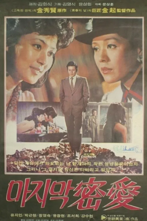 The Last Secret Love poster