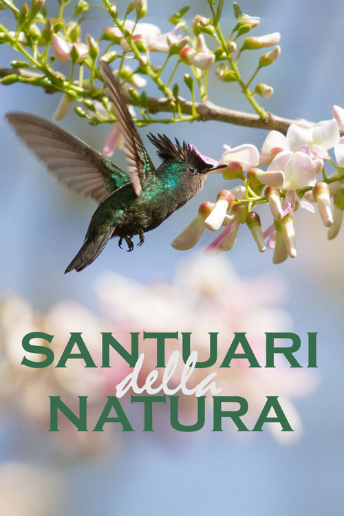 Santuari della natura poster