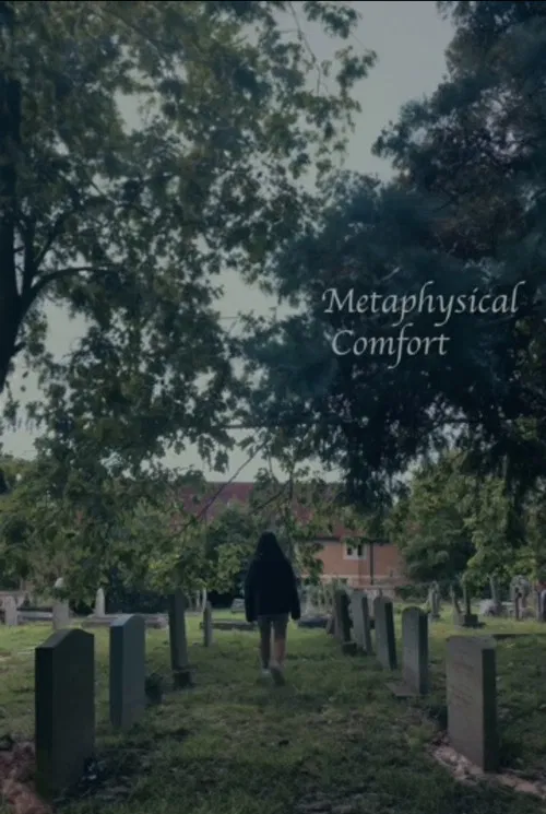 Metaphysical Comfort poster