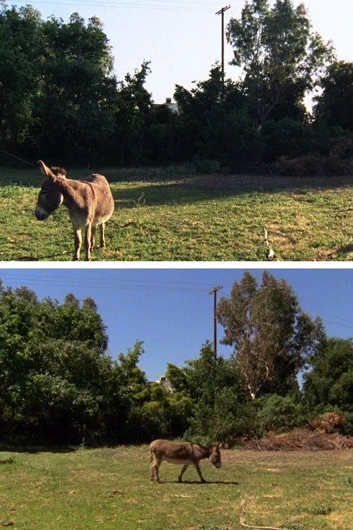 Changed Landscape poster