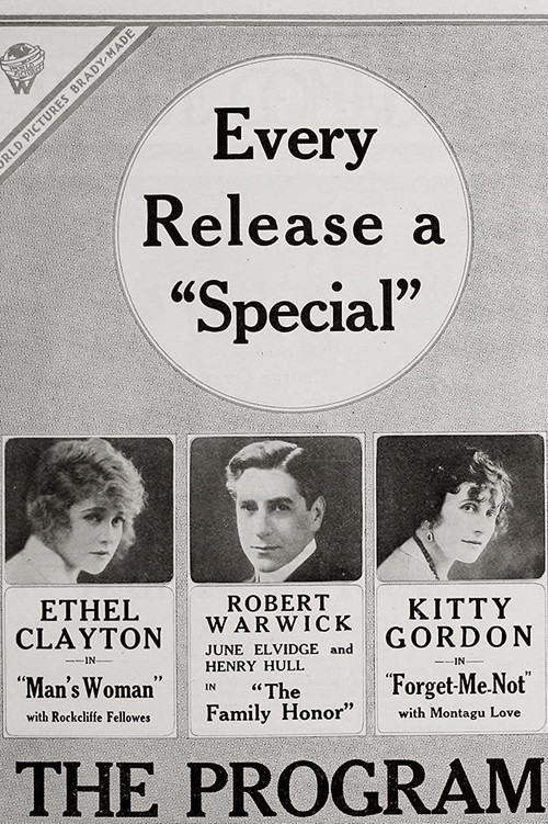 Forget-Me-Not poster