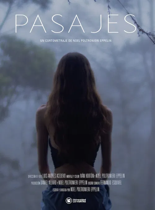 Pasajes poster