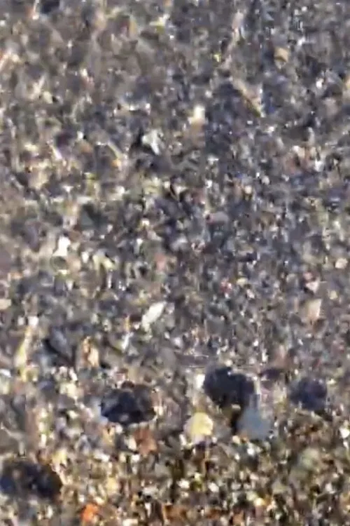 Fading Shade vol.1,2 poster