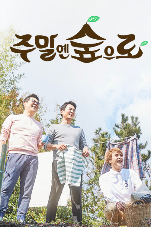 주말엔 숲으로 poster