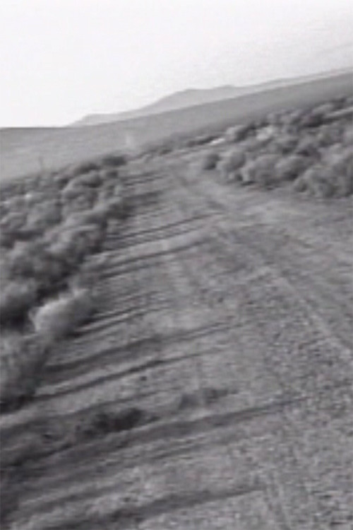 Facts on the Polywave poster