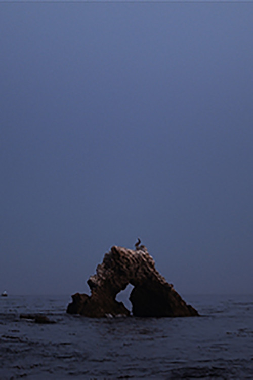 black widow summer set poster