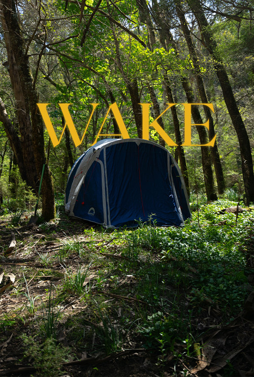 Wake poster