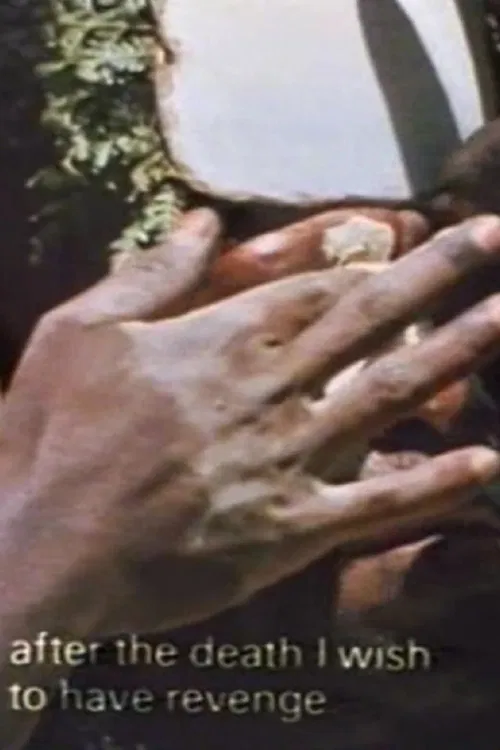 Tighten the Drums: Self-Decoration Among the Enga poster