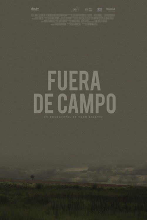 Fuera de campo poster